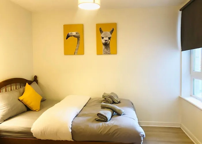 Spacious City Centre Flat Free Parking& Superfast Wifi